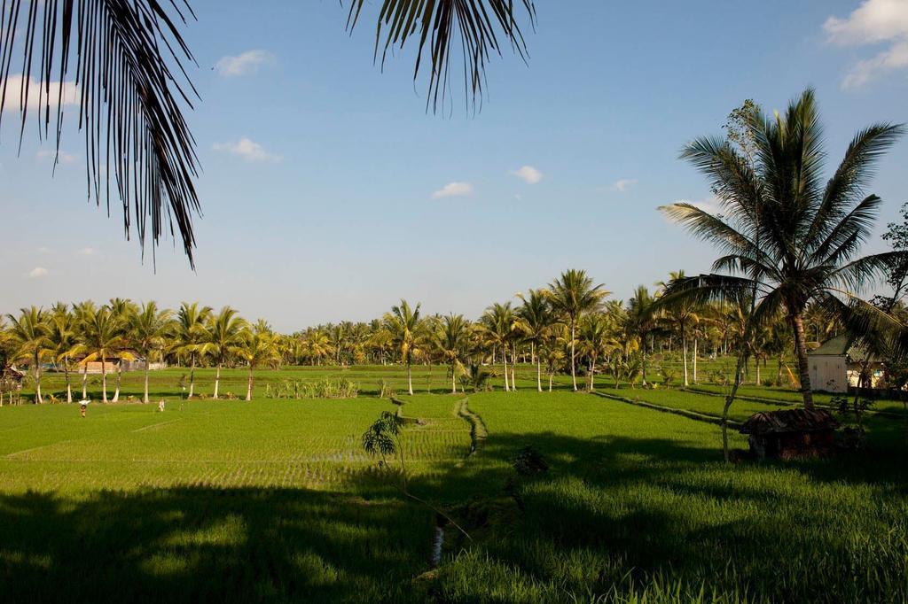 Puri Bebengan Bungalows Ubud Exterior foto